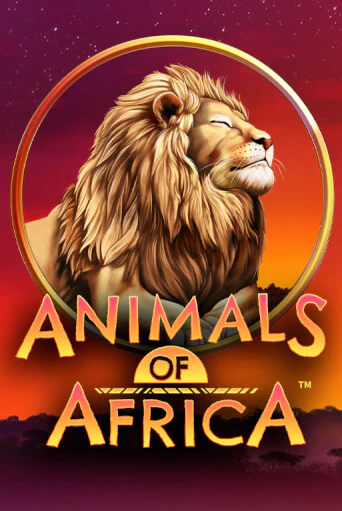 Слот Animals of Africa ™ в демо-режиме от Microgaming в Champion Slots Casino